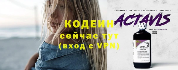 прущий лед Алзамай