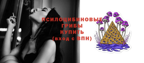 mdpv Вяземский
