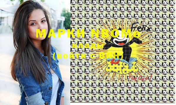 прущий лед Алзамай