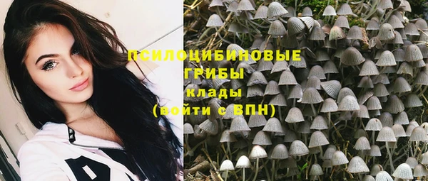 Альфа ПВП Карталы