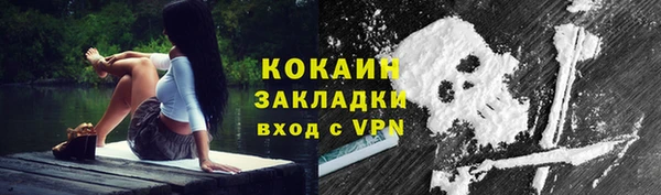 прущий лед Алзамай