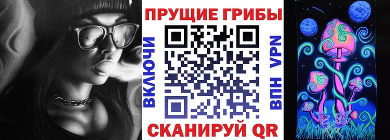 Галлюциногенные грибы GOLDEN TEACHER  наркотики  Катайск 